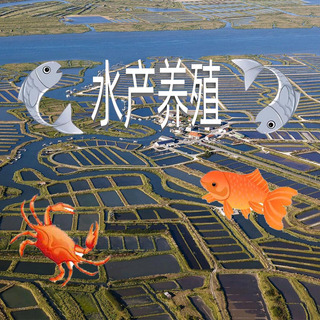 九尊岛水产养殖