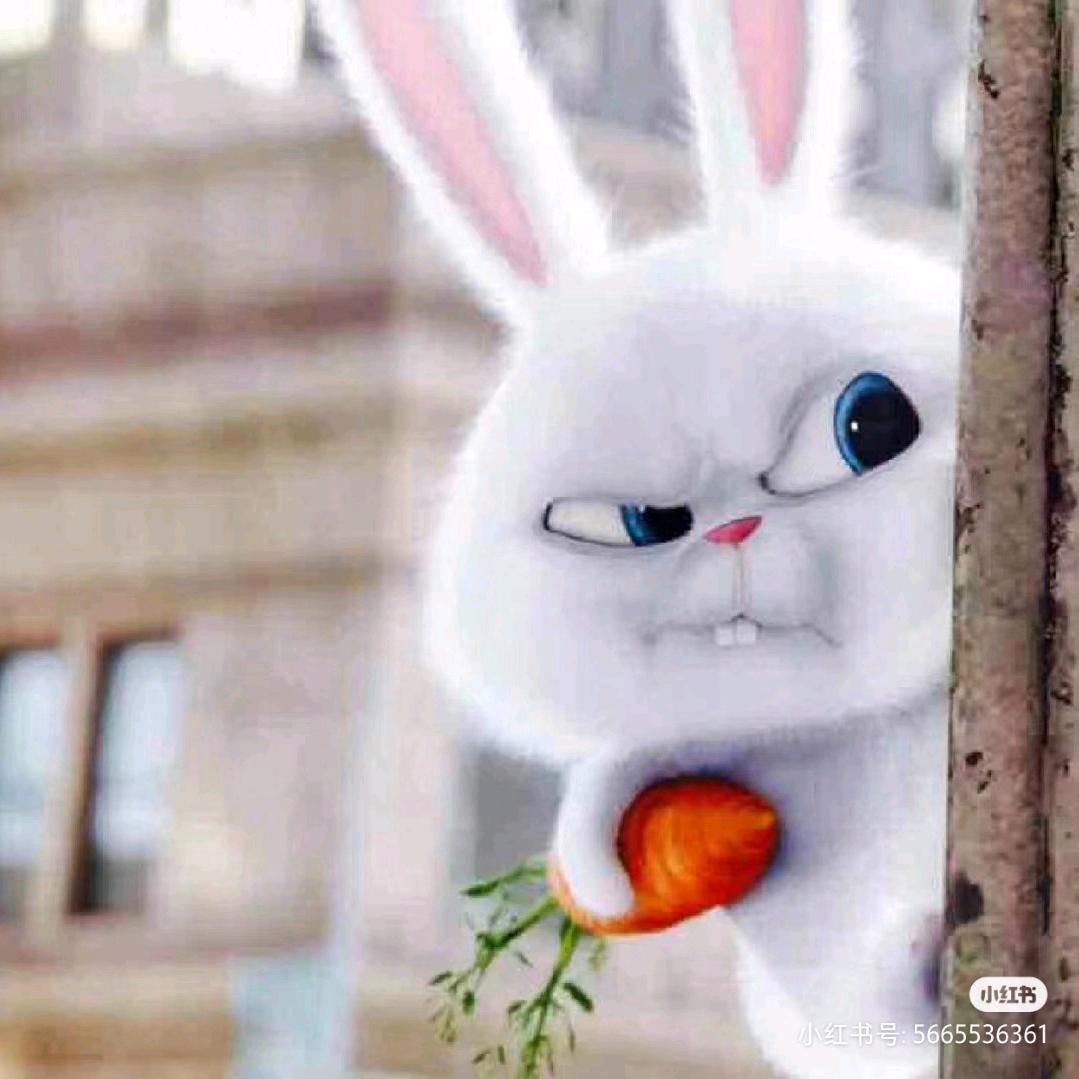 兔子倒拔胡萝卜🥕