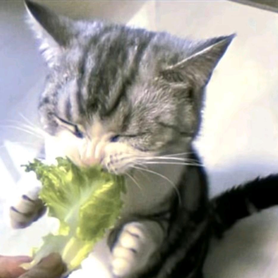 𝓛𝓲𝓪𝓶𝓶𝓶𝓶𝓶