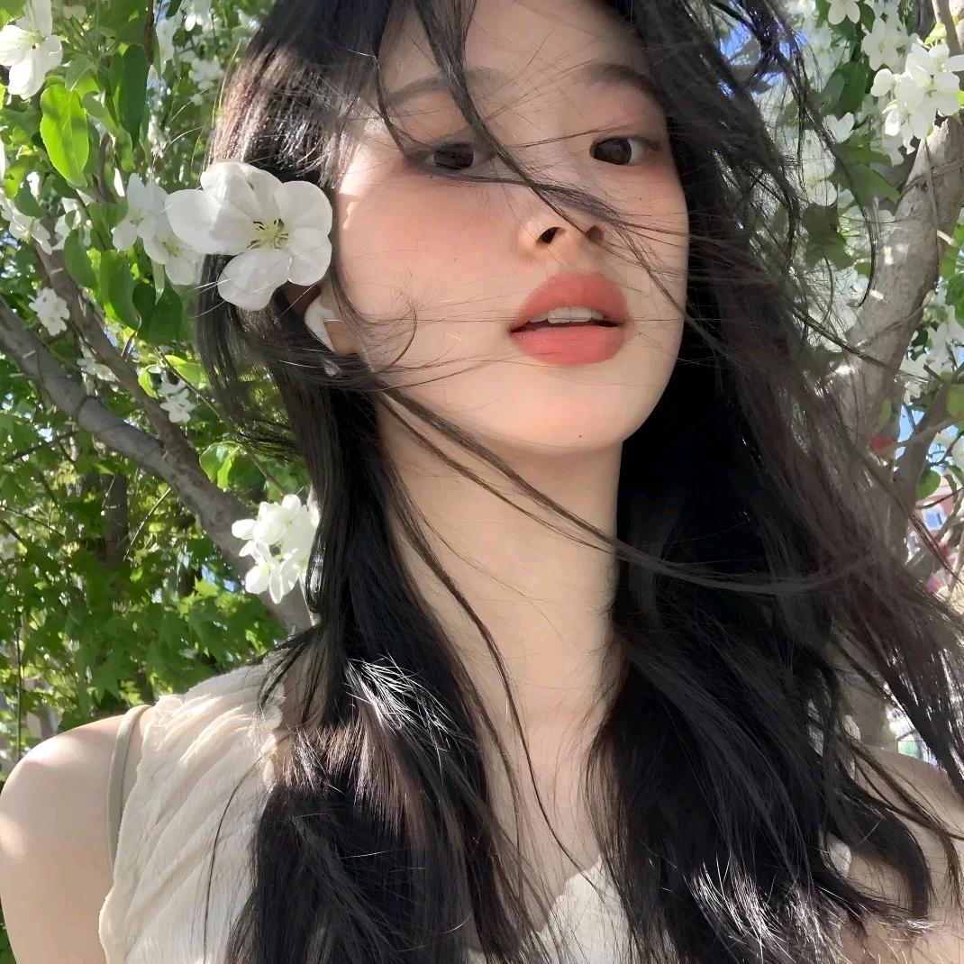 杨了个杨