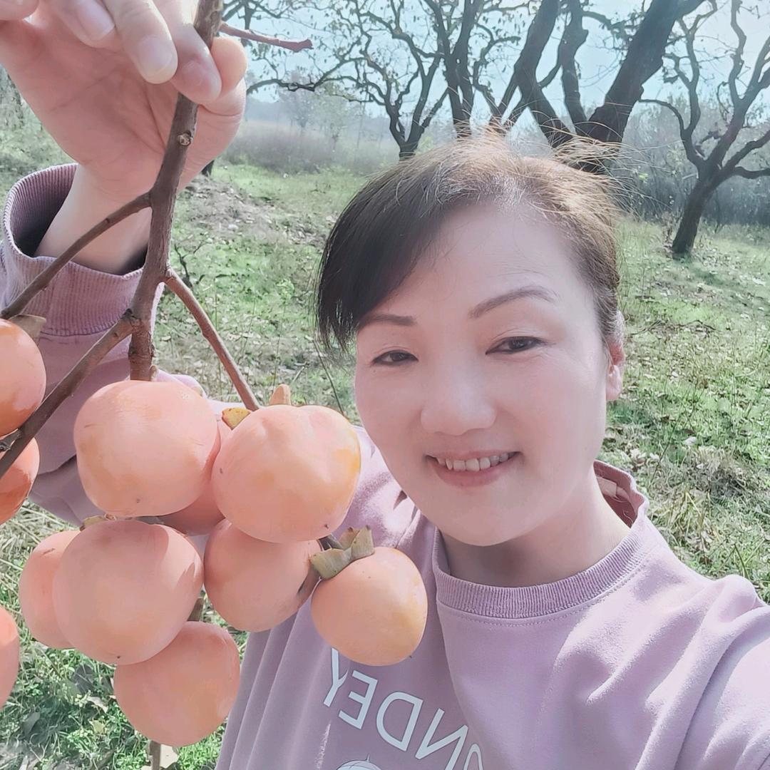 蓝银草🌿