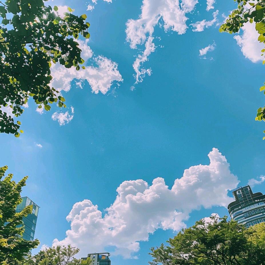 暴富暴美吖