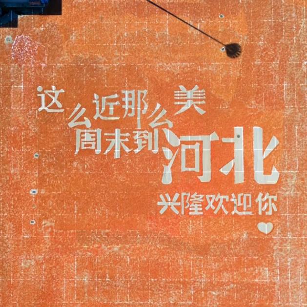 赵爱李