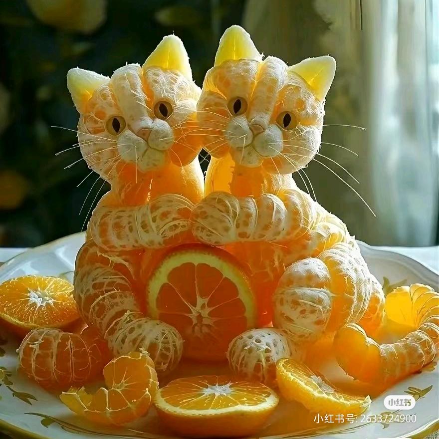 嘟嘟是猫咪