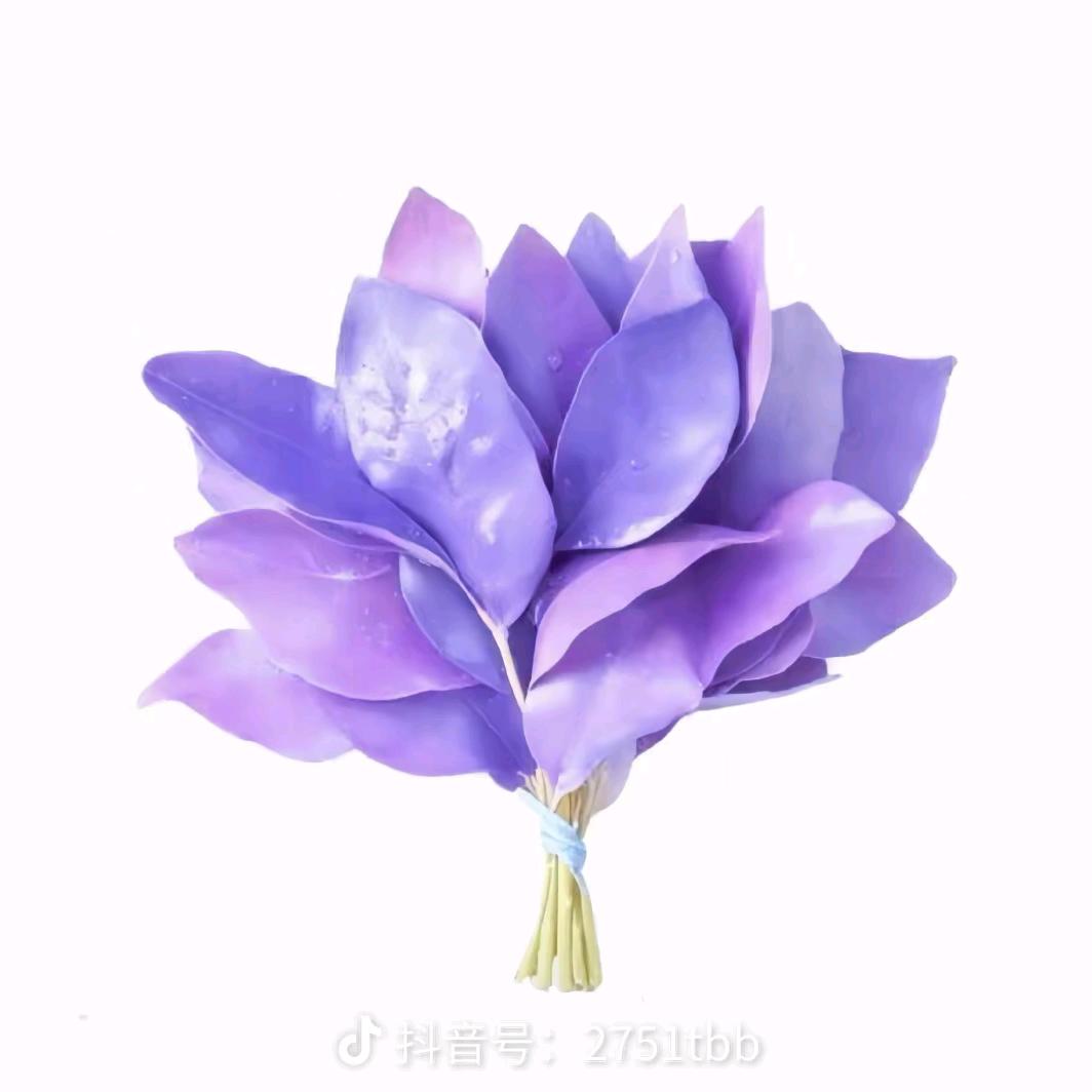 铃声闻入鸣
