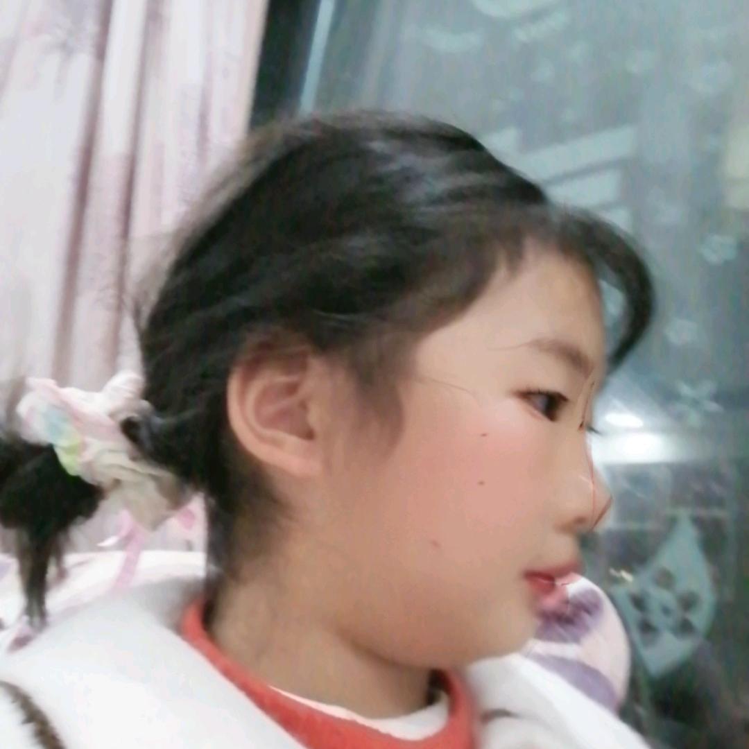 金菊花