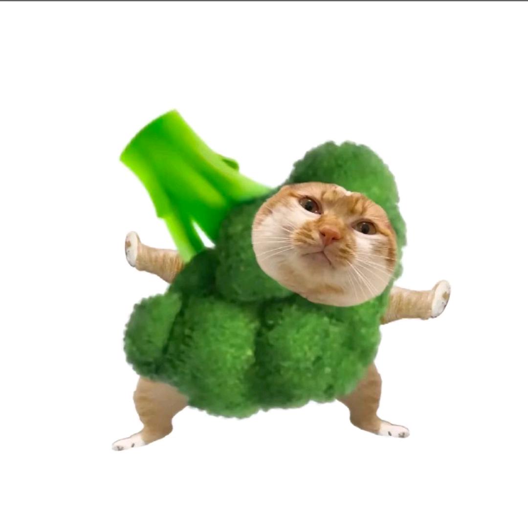 顿顿
