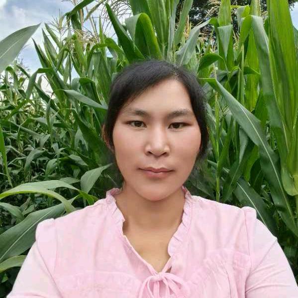 会泽妹《小号》