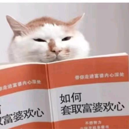 小龙不聋