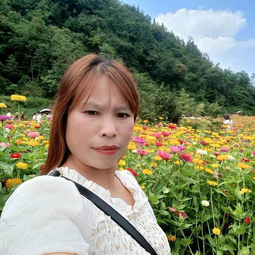 梦飞