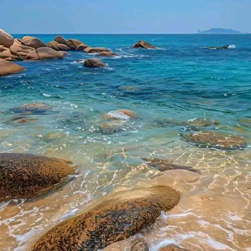 直播间客服助手