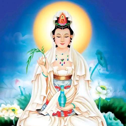 真心珍爱