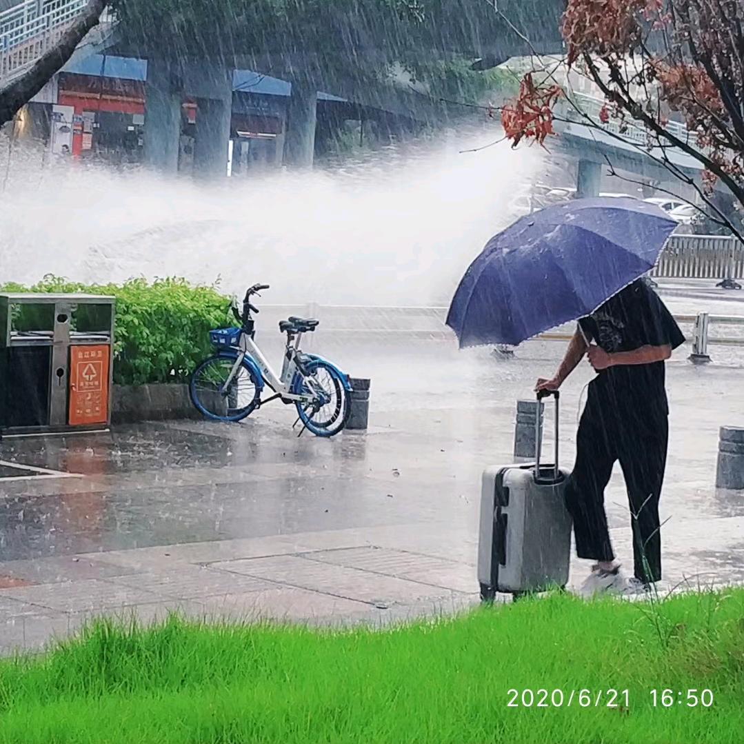松花酿酒 露水煎茶