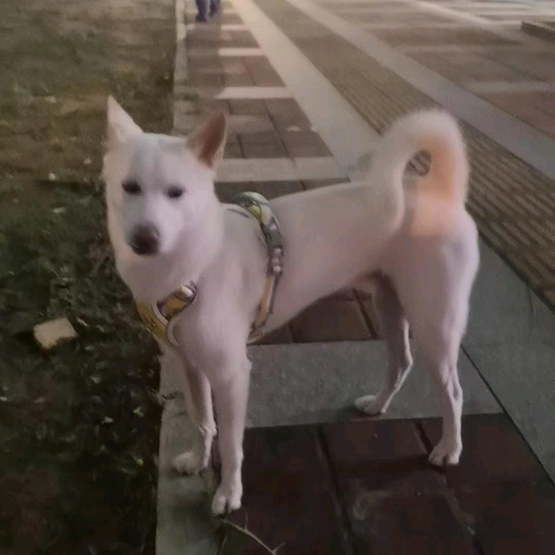 兰馨：小商店