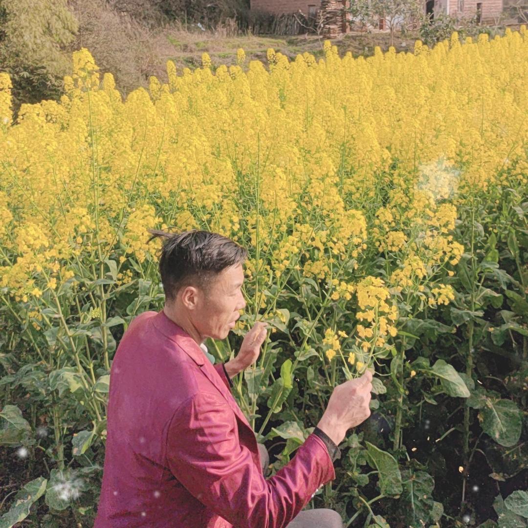 农村帅锅（3号）