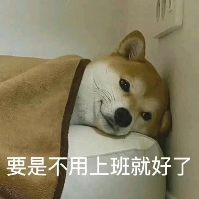 不打篮球（背带裤版）