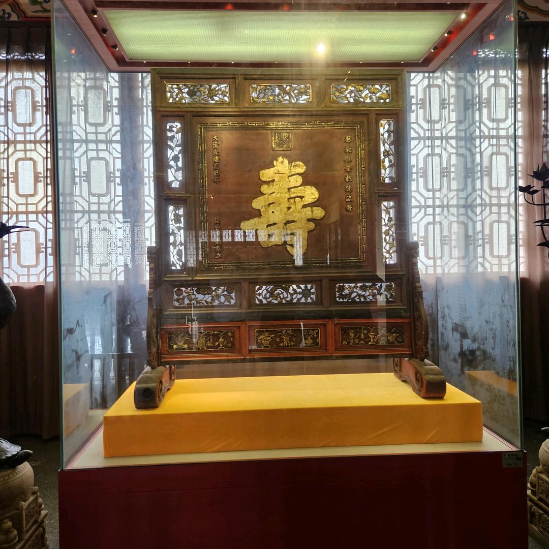 银叶长青