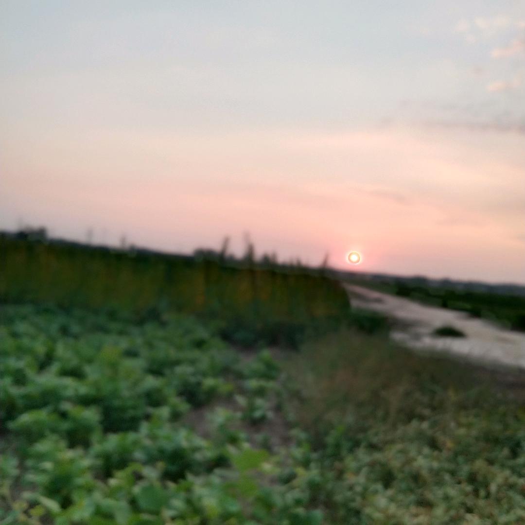 一路向阳