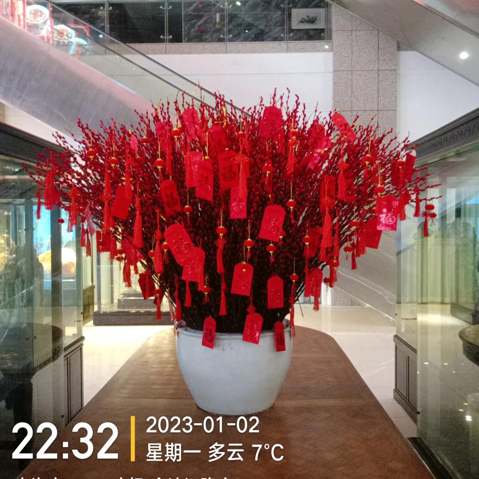 陆陆发