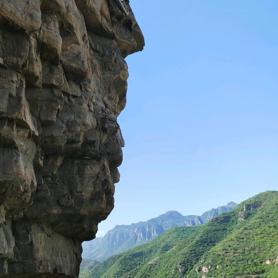 本村最可爱