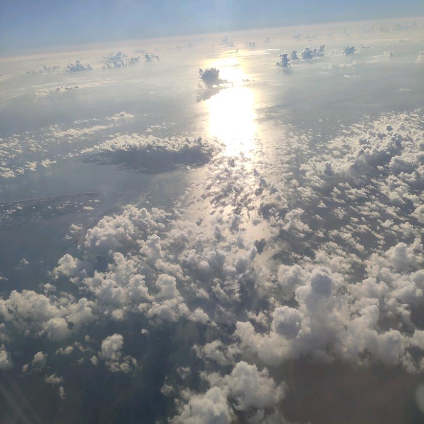 无情的世界无情的你