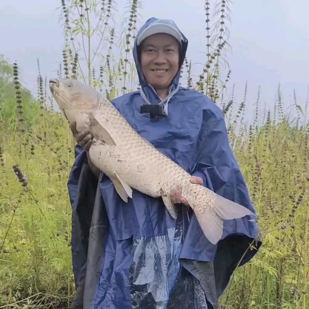 彬哥爱野钓