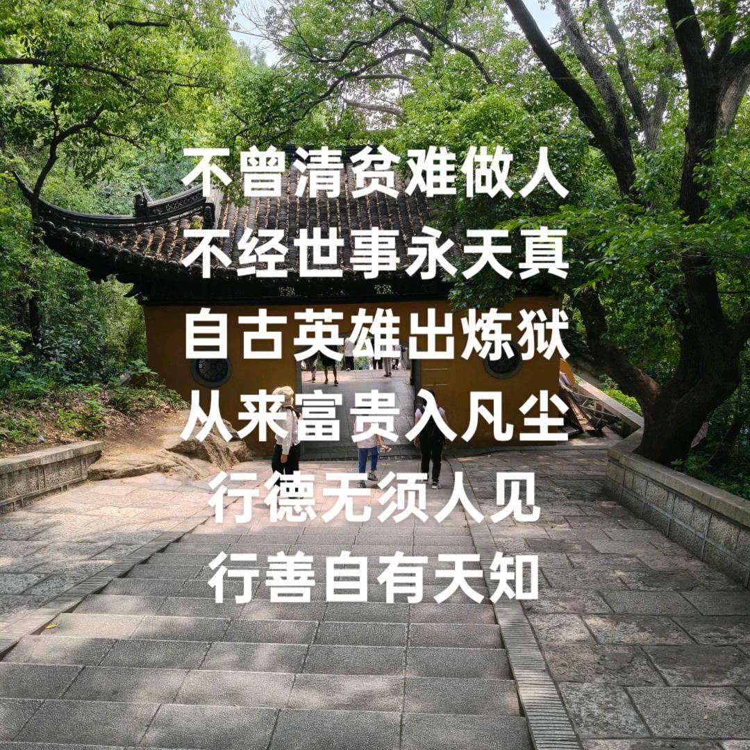 有钱花是什么花