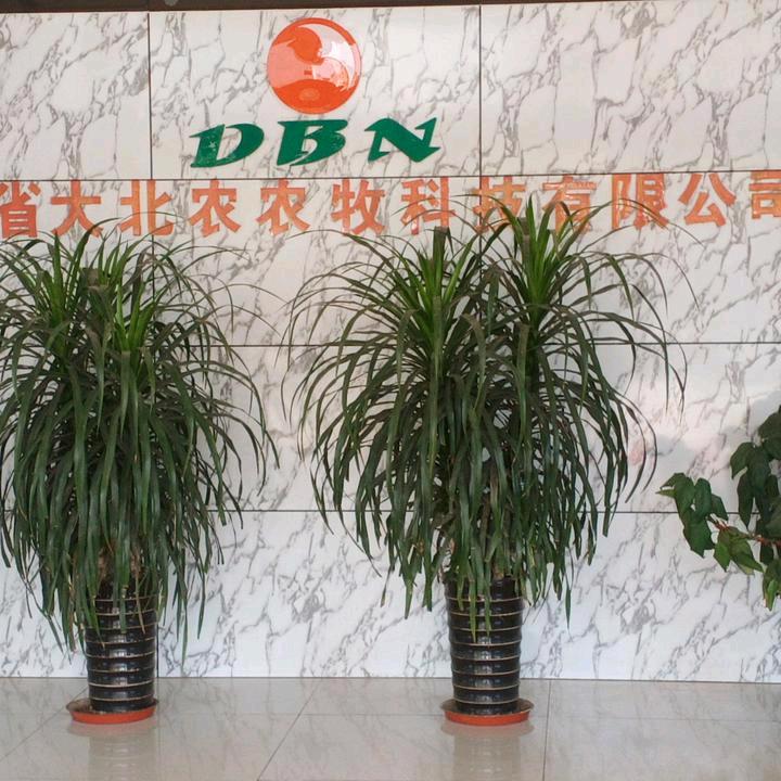 寿县，三觉大北农饲料王安定为你服务