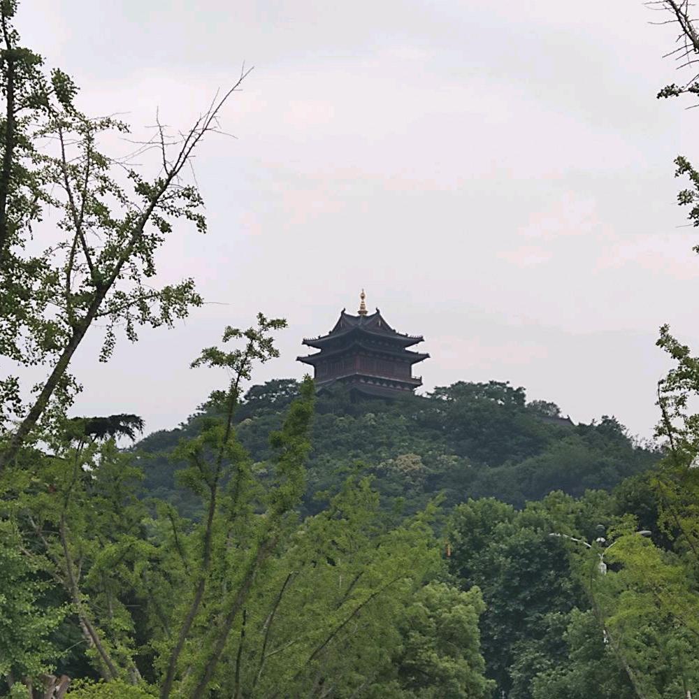 小小强