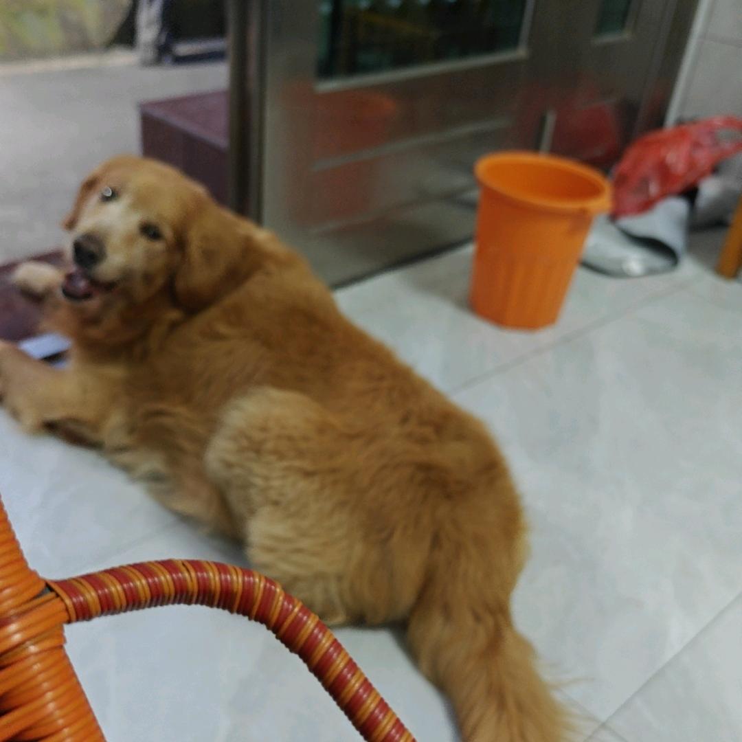 风