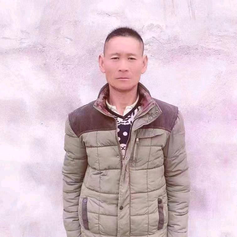 AA红署育苗批发四哥