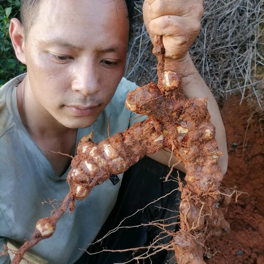 半城山水→满诚诗