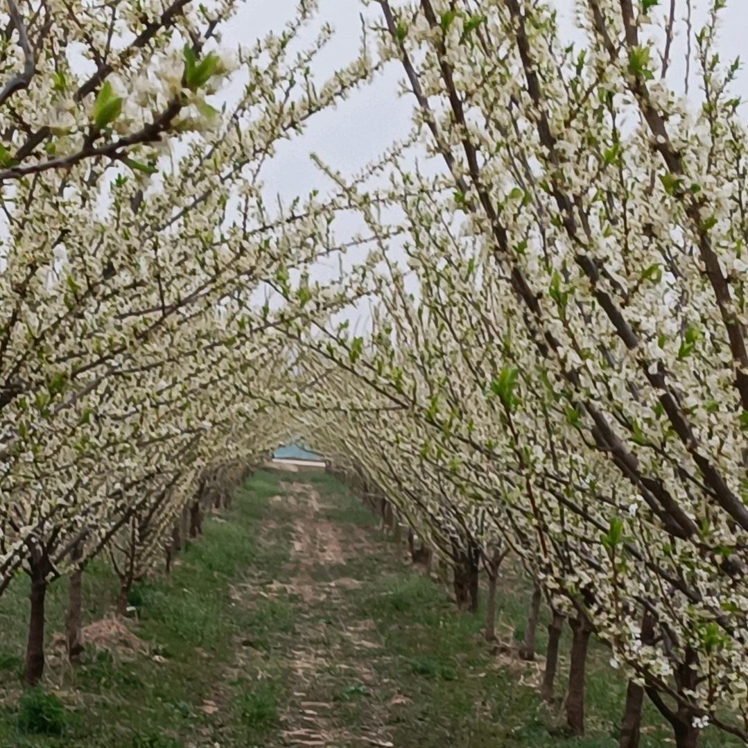 美好家园影视节目984