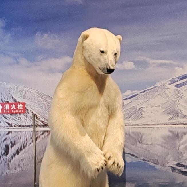 超级大熊（互关秒回）