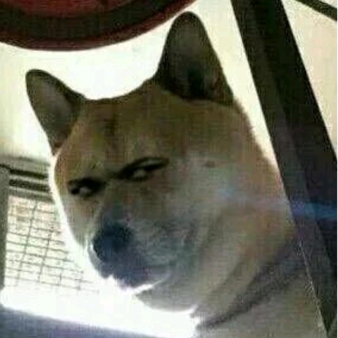 帅气的啊登