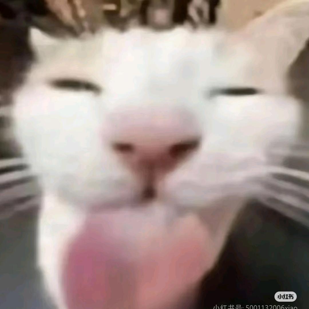 阿贝贝