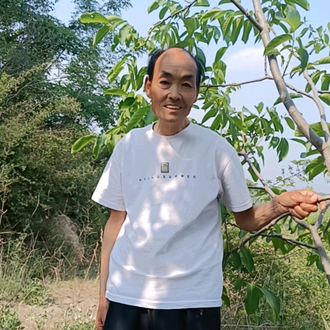 🌹万水千山🌿
