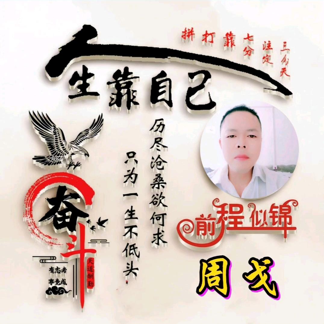 卡哥带你看风景
