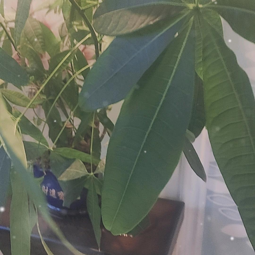 拒绝私聊