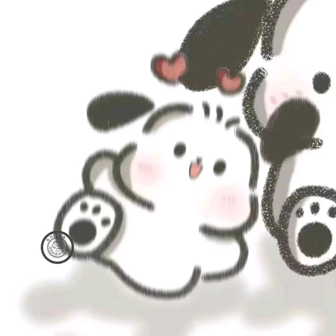 五只猫咪咪
