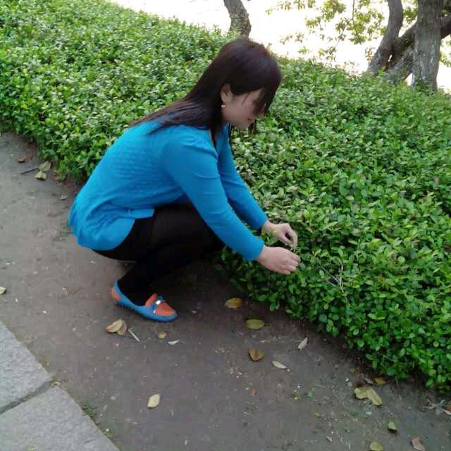 玲玲姐