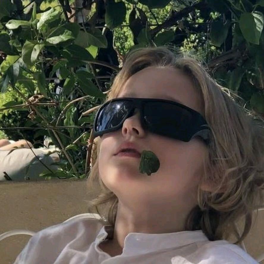 DAVI（三角洲行动）