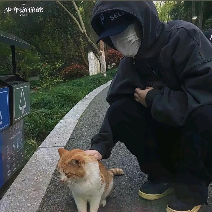 听枫