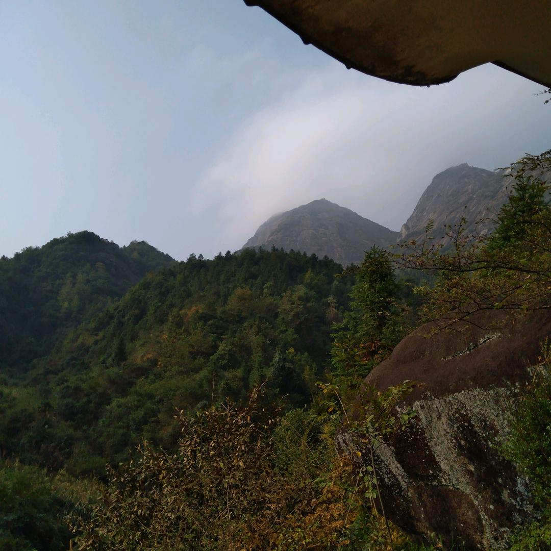 🌲🌲大⛰️山🌲🌲