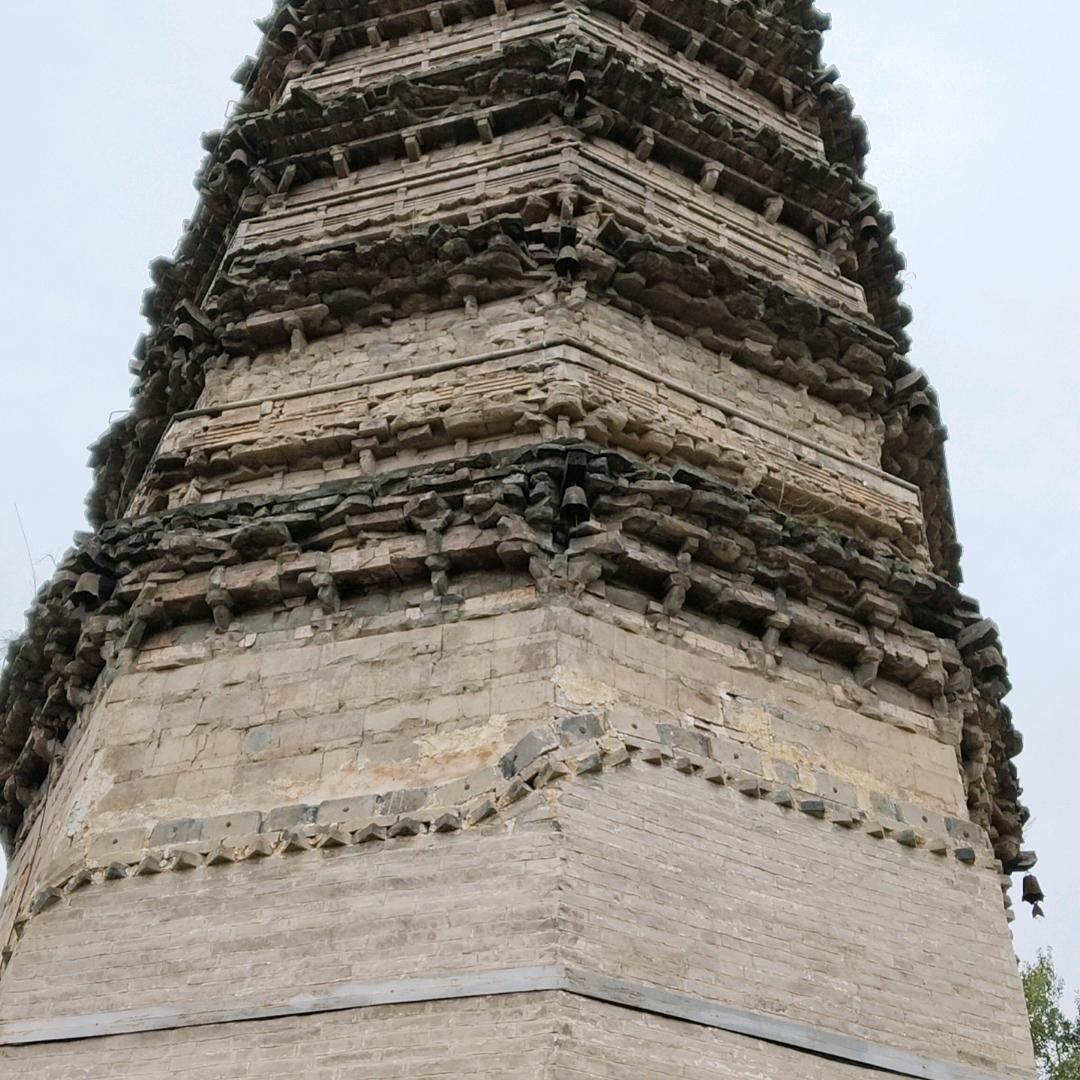 郑坡遗址