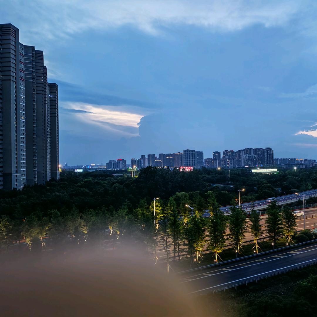 流浪世间的样子