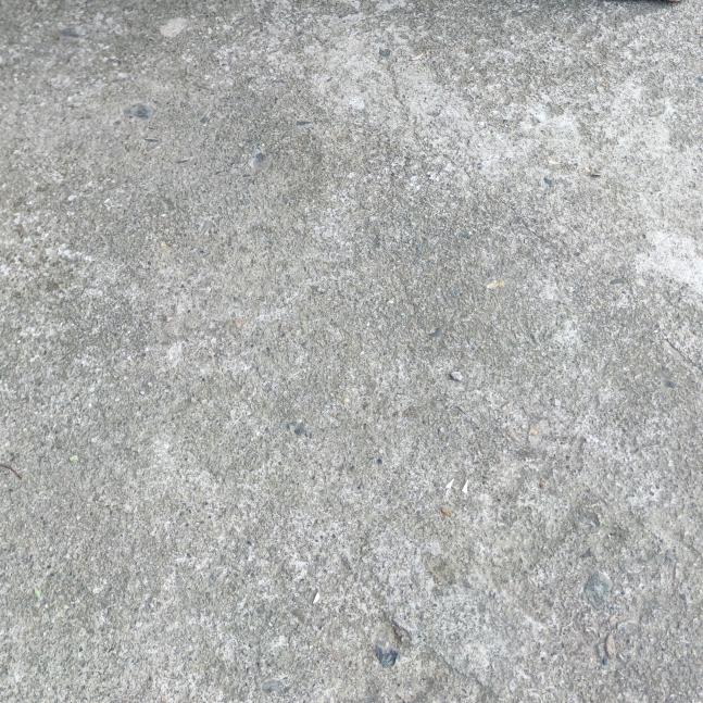 明天会更好