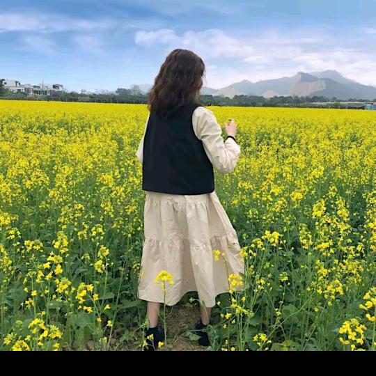 芋妈爱种植