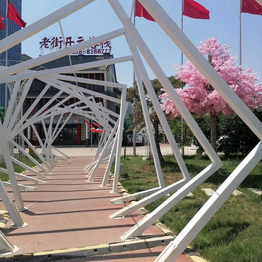 ༺💰不发胖໊ཀྃ只发财এ᭄