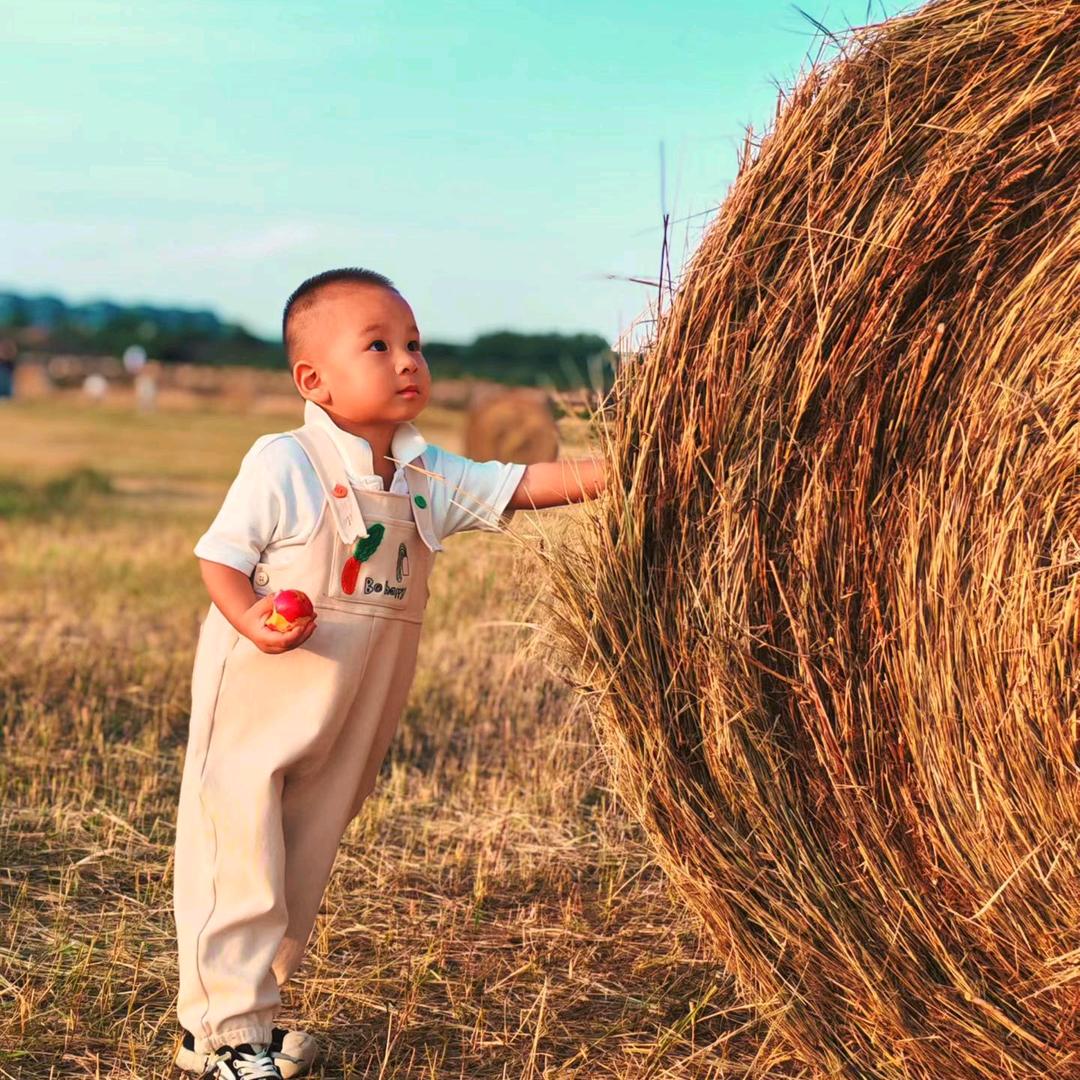 金豆の头号粉丝